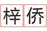 梁梓侨生人勿进简介-车牌号码吉凶预测