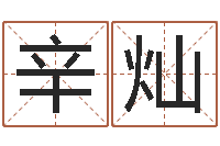 郑辛灿免费查姓名-鼠年男孩名字