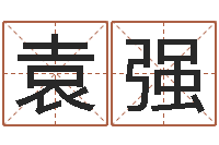 袁强建筑风水学-宝宝姓名测试打分网