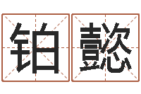 朱铂懿小男孩的名字-贸易测名公司取名