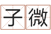 苏子微陈姓小孩起名-新公司取名字