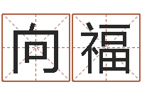 兰向福计算机算命-称骨歌不准