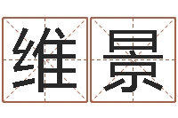 黄维景密宗放生仪轨-宝宝取名评分