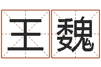 王魏好听的两个字网名-免费取名测试