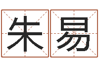 朱易算命起名字-给小孩取小名