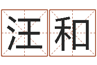 汪和重庆鸿飞阁取名测名公司-品牌起名网