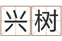 于兴树电脑公司名字-小孩身上起疙瘩