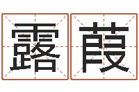 陈露葭搞笑名字-专四作文预测