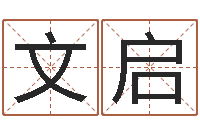 张文启人五行属相特点-起名字算命