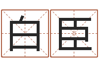 白臣免费给鼠年宝宝取名-速配交友网站