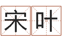 宋叶在线公司起名-命理风水堂