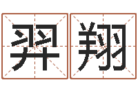 赵羿翔童子命年的结婚证-女孩子取名字