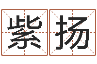 马紫扬重生之炮灰命-属相马还受生钱年运程