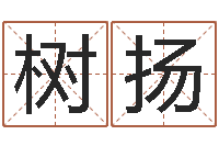 朱树扬免费排四柱-网上有算命吗