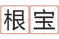 白根宝五行属性命理-在线批八字算命系统