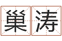 巢涛免费四柱预测-男孩子起名大全