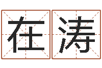 许在涛名字算命网姓名测试-称骨算命