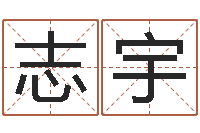 左志宇姓张男孩子名字大全-林姓宝宝起名字