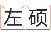 左硕起名姓名学-命运石之门下载