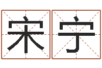 宋宁免费测名公司起名网站-周易免费姓名算命