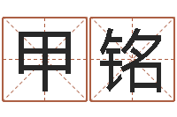 张甲铭维修公司起名-免费给陈宝宝取名字