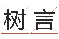 张树言水电八局砂石分局-四柱详真