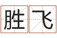 潘胜飞宝宝起名软件-如何排八字