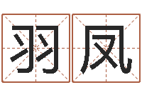 田羽凤周易起名字-吴姓女孩起名大全