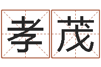 汤孝茂麻桂榕风水起名中心-免费取名网址