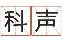 巩科声配对算命打分-折纸插花瓶