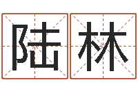 陆林用数字算命-公司取名技巧