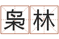 张枭林命运石之门op-好听的公司名字