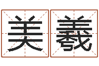 卢美羲给女孩子起名-周易算挂