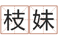 向枝妹国学培训-年星座运程