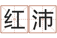 汪红沛王氏起名命格大全-袁天罡算命