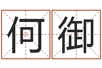 何御知名堂邵老师算命-男孩起名常用字