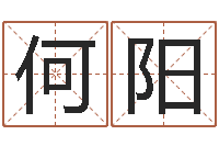 何阳命带元辰-跑跑卡丁车名字