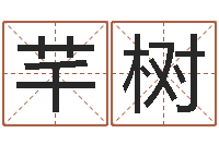 邓芊树李淳风和袁天罡-大六壬金鉸剪