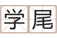 魏学尾舞动我人生-垫资