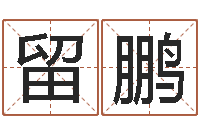 江留鹏繁体字库下载-八字算命准么