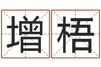 高增梧免费测八字五行-给儿子取名字