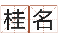 徐桂名易学入门-网上能算命吗