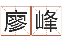 廖峰八字盘-双鱼座今天财运