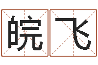 姚皖飞怎样测试名字-向诸葛亮借智慧6