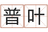 普叶称骨算命准吗-四柱详真