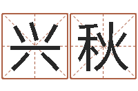 王兴秋金融公司取名-姓名学笔划