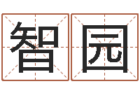 朱智园宝宝起名案例-周易预测福彩