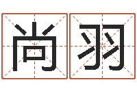 肖尚羽网上选车号-免费工厂取名