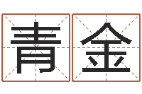 马青金怎么样给宝宝取名-十二生肖属相查询