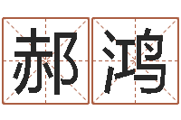 赵郝鸿车牌号码吉凶测算-还受生钱年八字算命准的